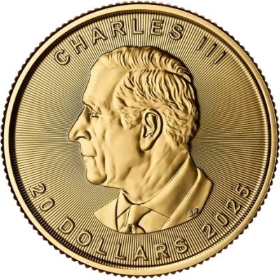Maple Leaf (2025) - 1/2 Oz - Gold Investment Coin