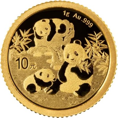 Panda (2025) - 1g - investeringsmynt i gull