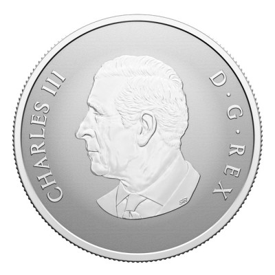 "Welcome to the World" 2025 - 1/2 oz - silver gift coin