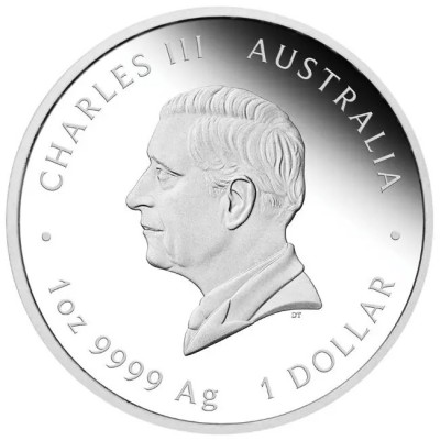 "One Love" 2025 - 1 Oz - Silver Gift Coin