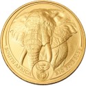 Big Five Elephant (2025) - 1 Oz - Gullmynt