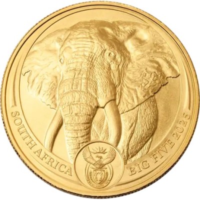 Big Five Elephant (2025) - 1 Oz - Gullmynt