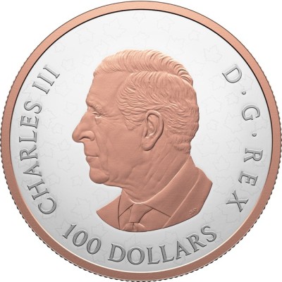 Gleaming Maple Leaves - 10 Oz - stříbrná sběratelská mince (dodání 12.6.2025)
