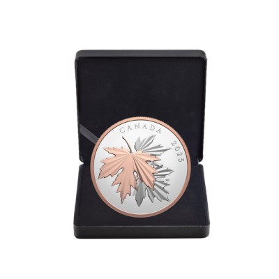 Gleaming Maple Leaves - 10 Oz - stříbrná sběratelská mince (dodání 12.6.2025)