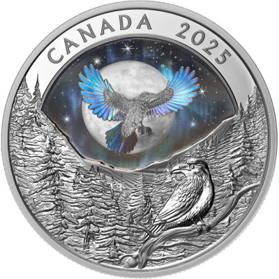 Moon Sky: Raven - 1 Oz - stříbrná sběratelská mince