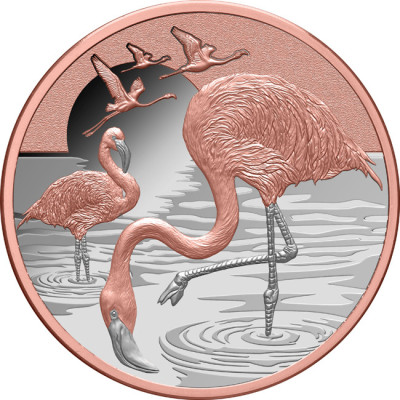 Flamingo (2025) - 1 Oz - Sølv Samlermynt