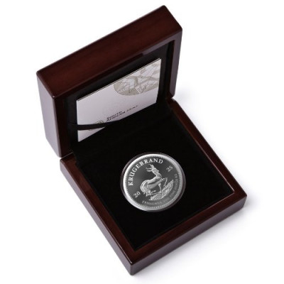 Krügerrand (2025) - 2 Oz - sølv proof samlemynt