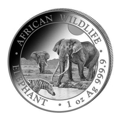 Afrikansk elefant (2026) - 1 Oz - Sølv investeringsmynt
