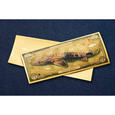 Rock Sturgeon - 24k gullseddel - Serie I