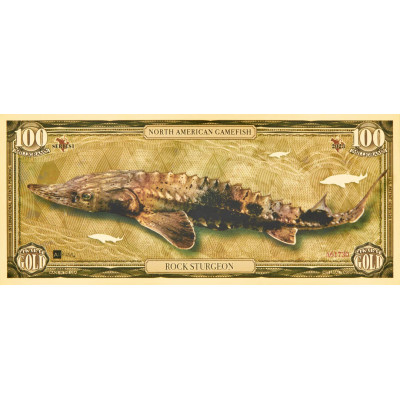 Rock Sturgeon - 24k gullseddel - Serie I
